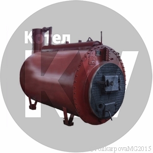 Паровой котел 0,3 т