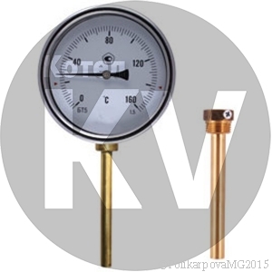 Термометр БТ