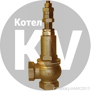 Клапан Ду 40