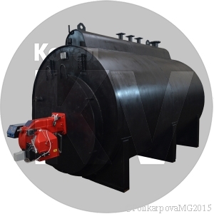 Паровой котел 1000 кг дизельный