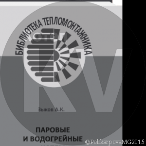 Паровые и водогрейные котлы - Зыков А.К.